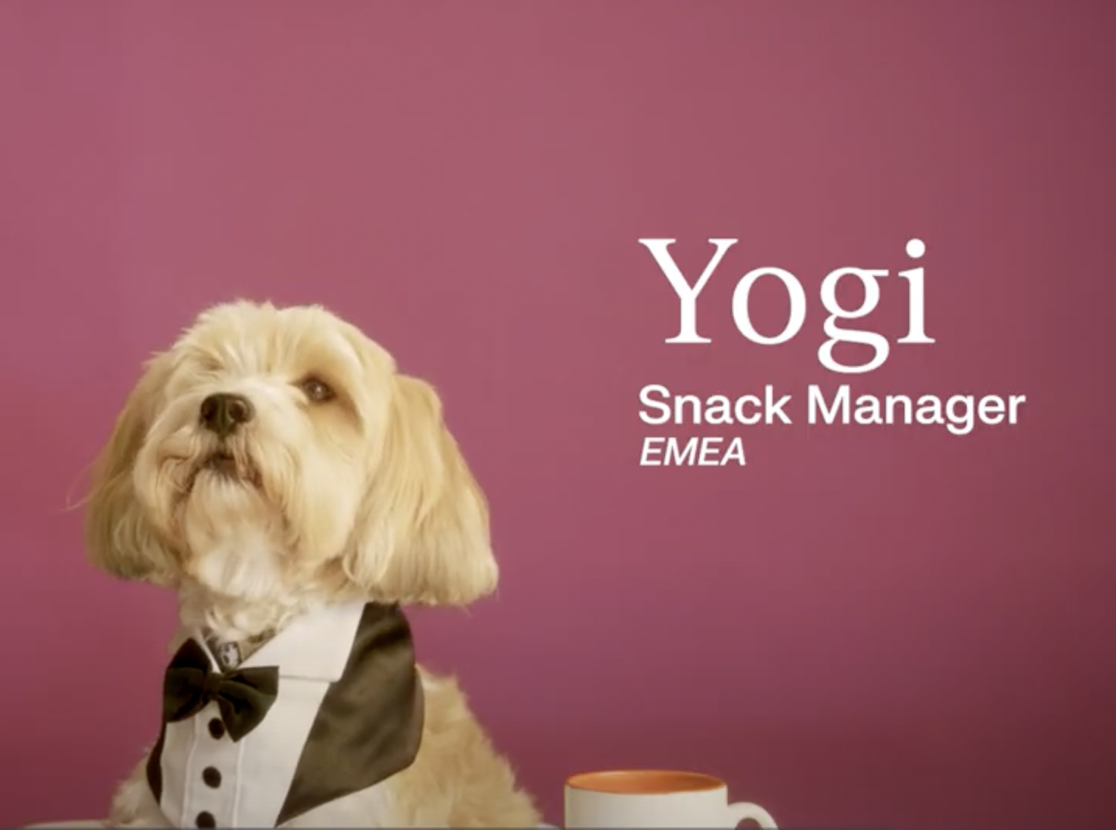 Screenshot 2021 12 01 At 13.53.12